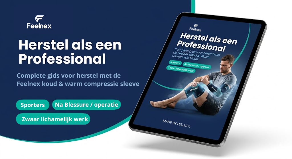 Gratis Herstelgids